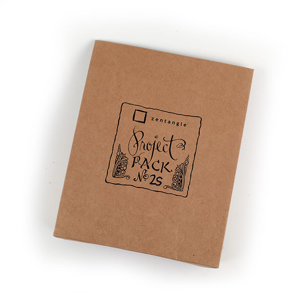 Project Pack #25 - Drawing Behind